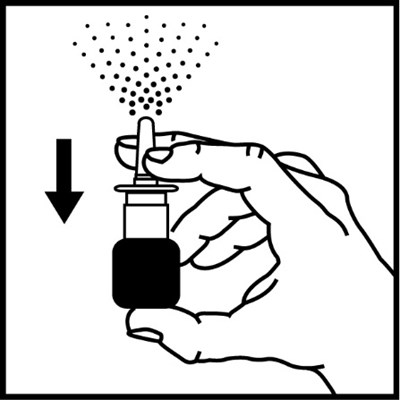 Fig3.jpg (Fig3)