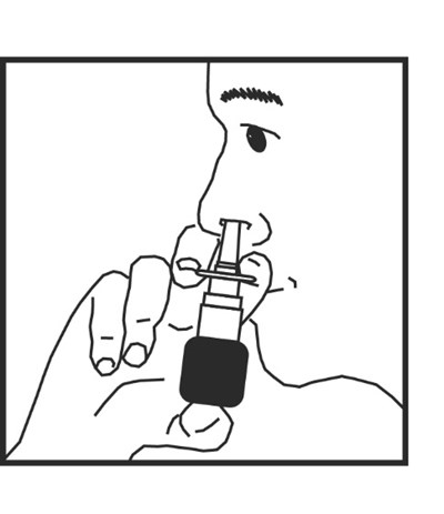 Fig4-6.jpg (Fig4 6 01)