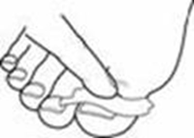 Figure (2bc21396 13d3 4e4a 8260 153f4e2c15f2 07)