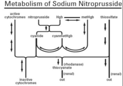 Figure (Sodiumnitroprussidefigure)