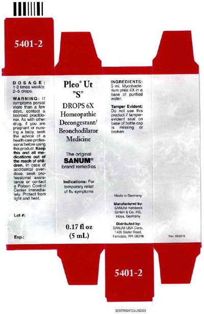 PRINCIPAL DISPLAY PANEL - 5 mL Carton - pleo ut s 01