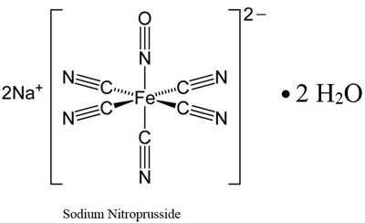 spl-image1-structure.jpg image description - spl image1 structure