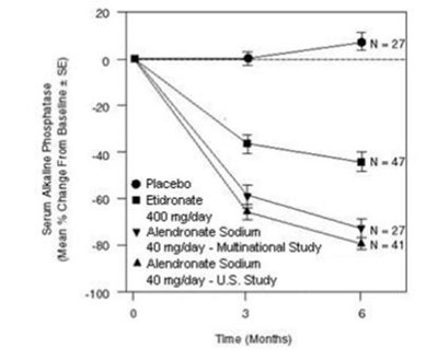 alendronate-sodium-tablets-9.jpg Studies in Paget’s Disease of Bone Effect on Serum Alkaline Phosphatase of Alendronate Sodium 40 mg/day Versus Placebo or Etidronate 400 mg/day - alendronate sodium tablets 9