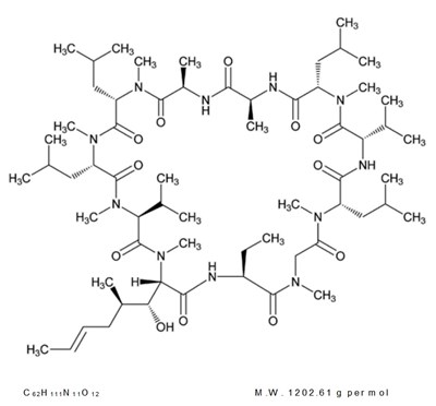 structure.jpg structure - structure