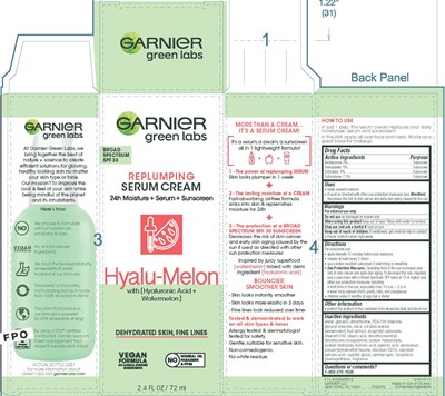 Image Of A Carton (Garglmelon)