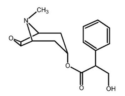 1 (Image 1)