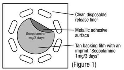 1 (Image 3)