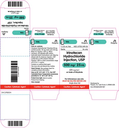 Irinotecan 12