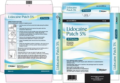 Lidocaine Patch 5% Carton Label (Image 02)