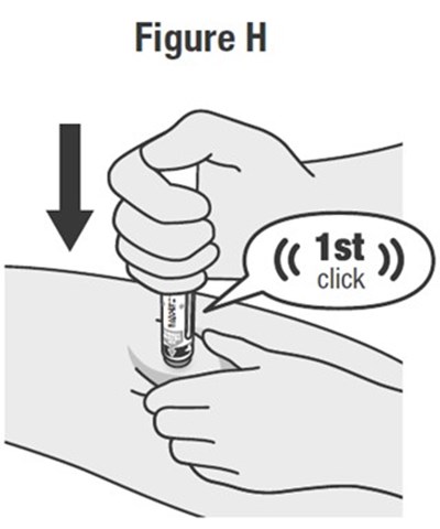 Pen Instructions for Use Figure H - image 11