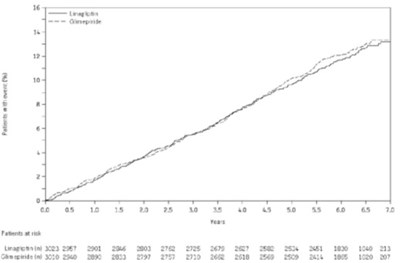 Lina-met-tabs--figure-3 (Lina Met Tabs  Figure 3)