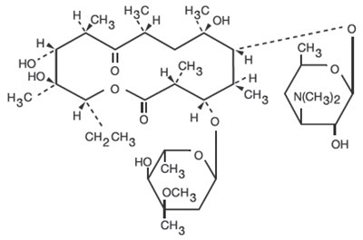 Chemical Structure - erythromycin 01
