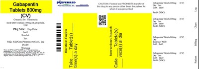 Gabapentin 800mg 500tab