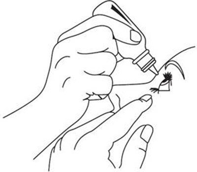 Image - e37dc12f 1930 43d0 87a5 ae1eebff29f6 04