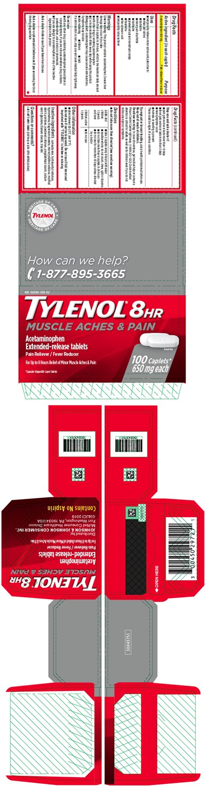 Principal Display Panel (Tylenol 01)