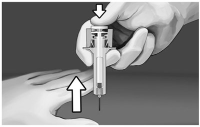 Figure 11 (Brixadi 11)
