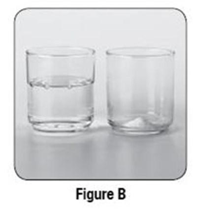 Figure B (Vigadrone 08)