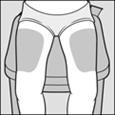 Figure_c_thighs (Glatopa Image 08)