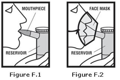 Figure F.1, F.2 (Levalbuterol Fig10)