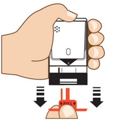 Figure C (Auvi Q 13)