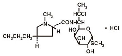 Clindamycinhcl Str