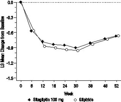 2 (Image 3)