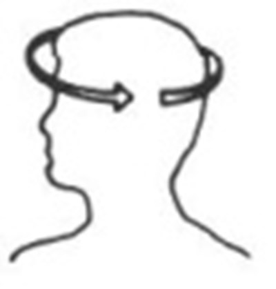 Figure 15 (Minoxidil 15)