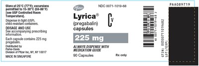 PRINCIPAL DISPLAY PANEL - 225 mg Capsule Bottle Label - lyrica 29