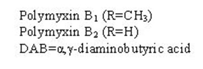 polymyxin-text.jpg polymyxin-text - polymyxin text