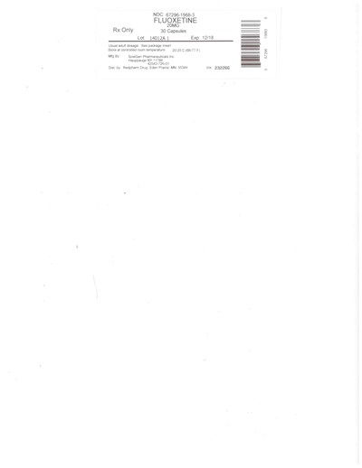 Fluoxetine 20mg (Doc20171212142610 001)