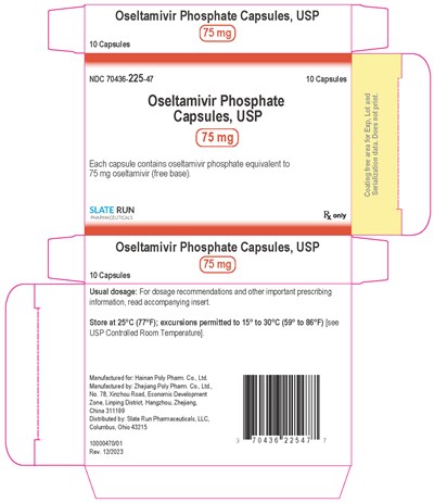 75 mg 10 Capsule Carton (Image 03)