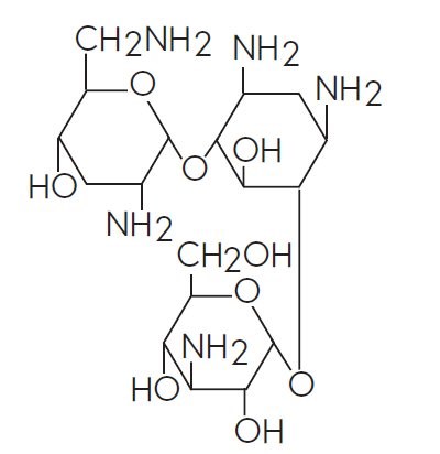 Tobramycin-formula.jpg (Tobramycin Formula)