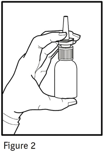 Figure 2 (Ipratropium Bromide Nasal Solution 21 Mcg Per Spra 3)