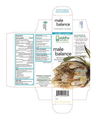 MaleBalanceCarton.jpg Male Balance Carton - MaleBalanceCarton