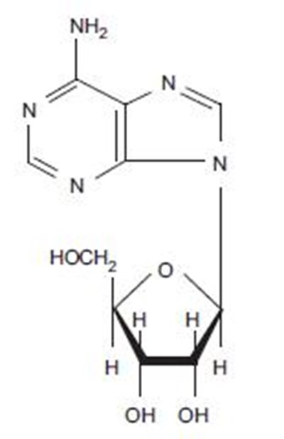 Adenosine Chemical Structure (Adenosine Str)