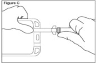 Figure C (Ace18 0000 03)