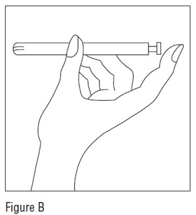 Figure B (Estradiol Fig2)