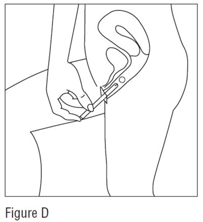 Figure D (Estradiol Fig4)