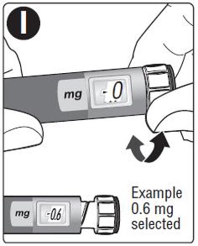 I (Liraglutide Injection A214568 23)