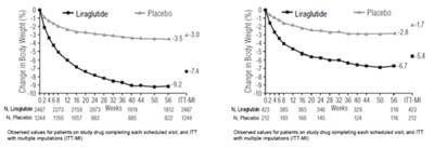 Figure 3 (Liraglutide Injection A214568 3)