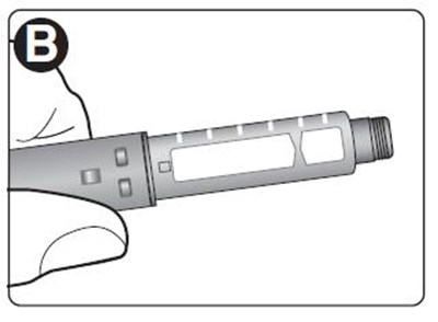 B (Liraglutide Injection A214568 9)