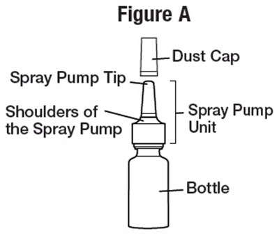 figure-a.jpg figure-a.jpg - figure a