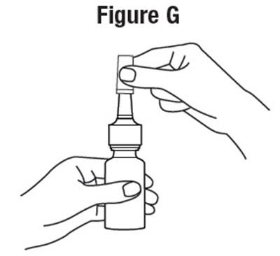 Figure-g.jpg (Figure G)