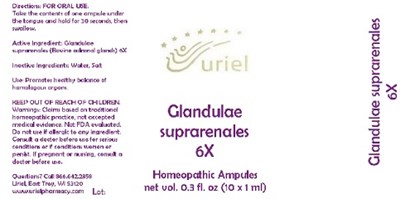 Glandulaesuprarenales6ampules