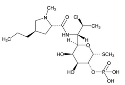 Structure.jpg - Structure