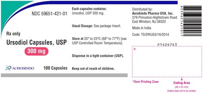 PACKAGE LABEL-PRINCIPAL DISPLAY PANEL - 300 mg (100 Capsules Bottle) - ursodiol fig1