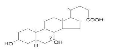 chemical structer - ursodiol str