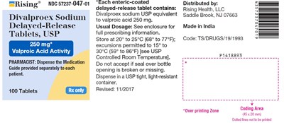 divalproex-fig7.jpg PACKAGE LABEL-PRINCIPAL DISPLAY PANEL - 250 mg (100 Tablets Bottle) - divalproex fig7