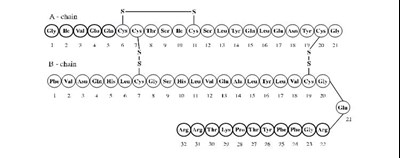 Chemical Structure (Lantus 01)