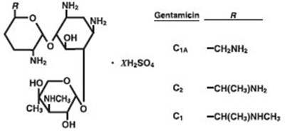 Gentamicin Structure (Gen0h 0000 01)